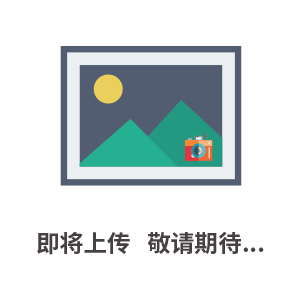 Flexlink柔性鏈板輸送系統 切片機